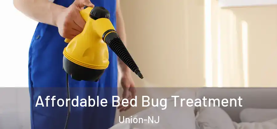 Affordable Bed Bug Treatment Union-NJ