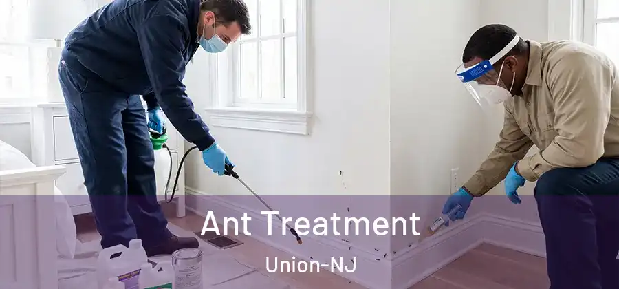 Ant Treatment Union-NJ