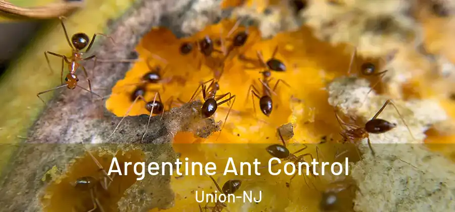 Argentine Ant Control Union-NJ