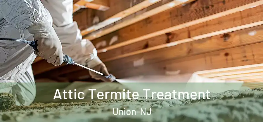Attic Termite Treatment Union-NJ