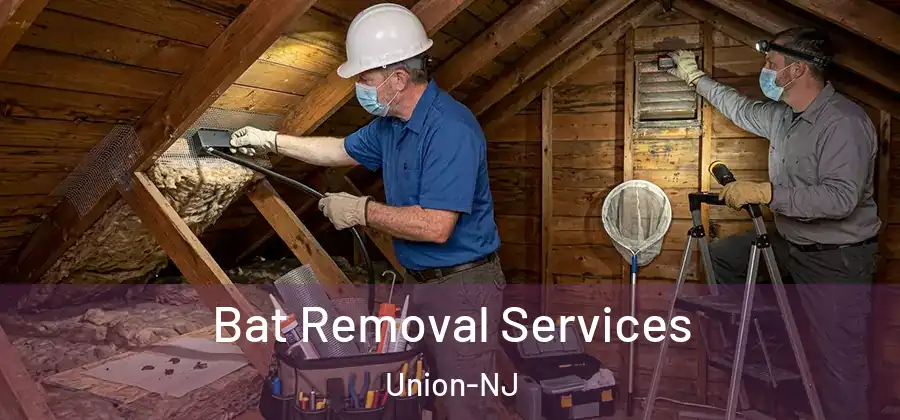  Bat Removal Services Union-NJ