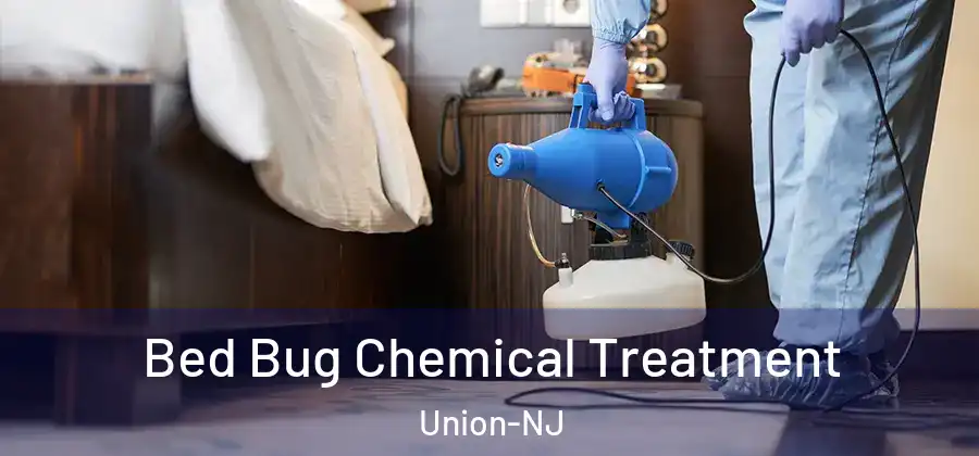 Bed Bug Chemical Treatment Union-NJ