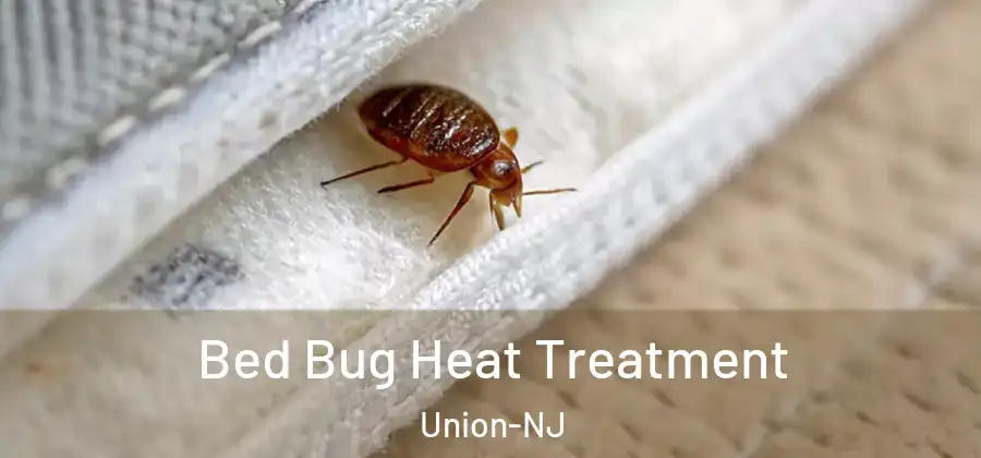 Bed Bug Heat Treatment Union-NJ