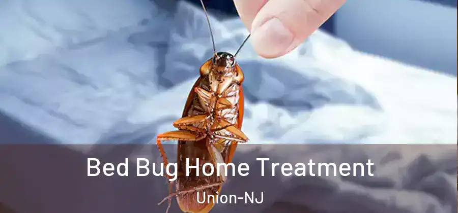 Bed Bug Home Treatment Union-NJ