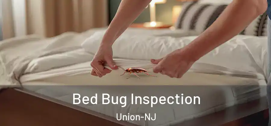 Bed Bug Inspection Union-NJ