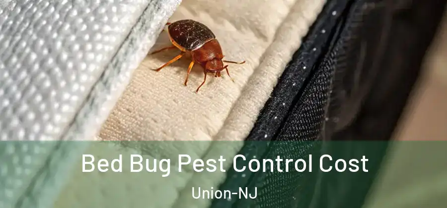 Bed Bug Pest Control Cost Union-NJ