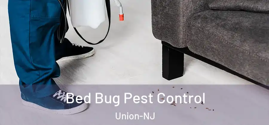 Bed Bug Pest Control Union-NJ