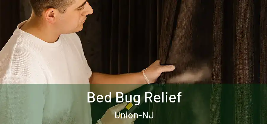 Bed Bug Relief Union-NJ