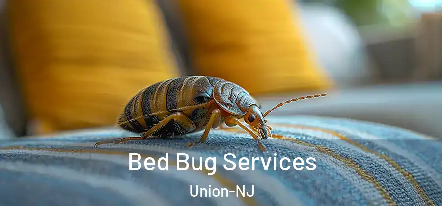 Bed Bug Services Union-NJ