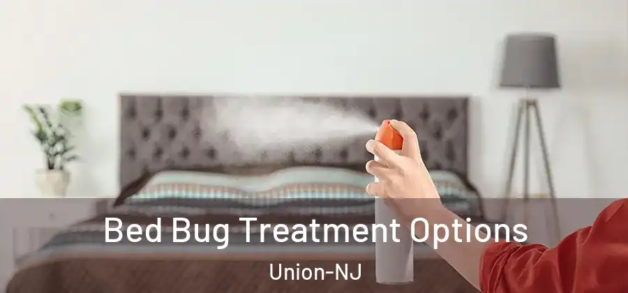 Bed Bug Treatment Options Union-NJ