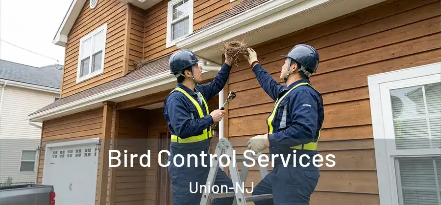 Bird Control Services Union-NJ