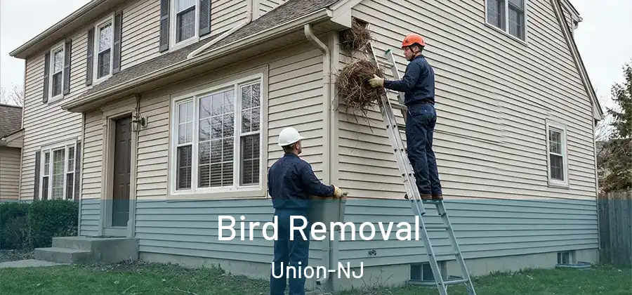 Bird Removal Union-NJ