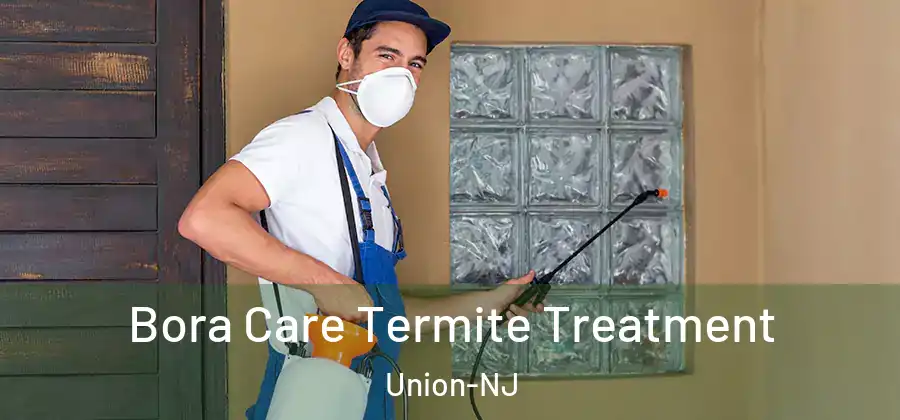 Bora Care Termite Treatment Union-NJ