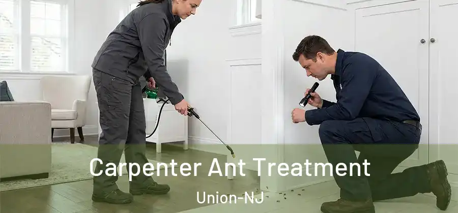 Carpenter Ant Treatment Union-NJ