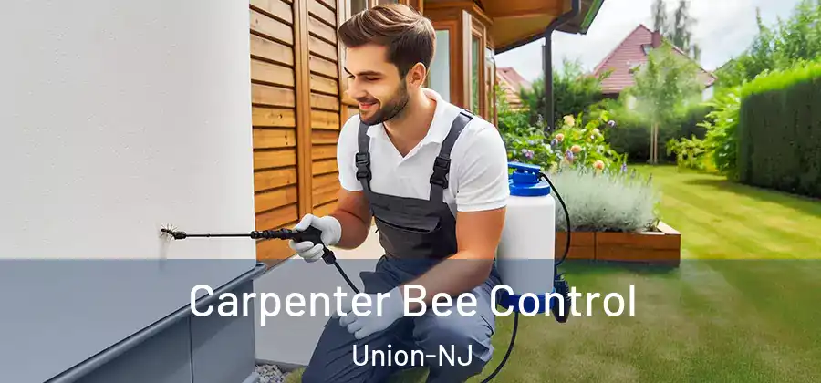 Carpenter Bee Control Union-NJ