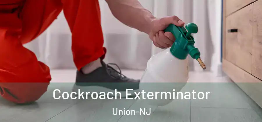 Cockroach Exterminator Union-NJ