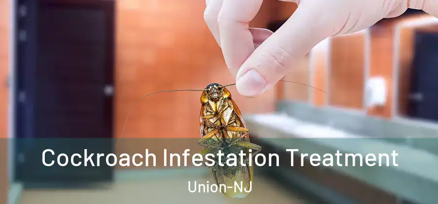 Cockroach Infestation Treatment Union-NJ