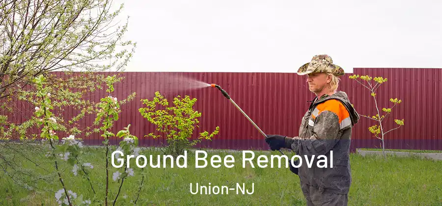 Ground Bee Removal Union-NJ