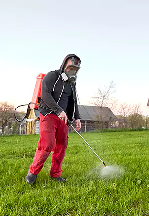 Eco Friendly Pest Control
