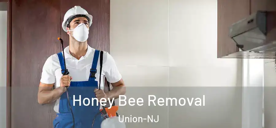 Honey Bee Removal Union-NJ