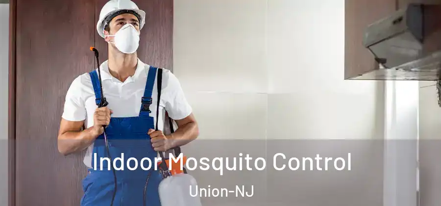 Indoor Mosquito Control Union-NJ
