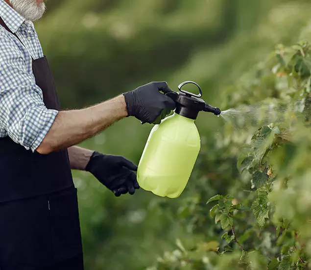Your Proven Mosquito Treatment Company in Union, NJ