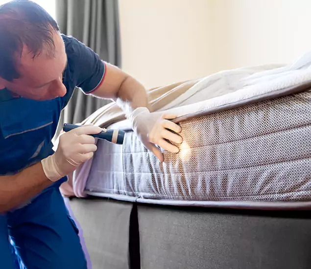 Trusted Bed Bug Cost Experts in Union, NJ