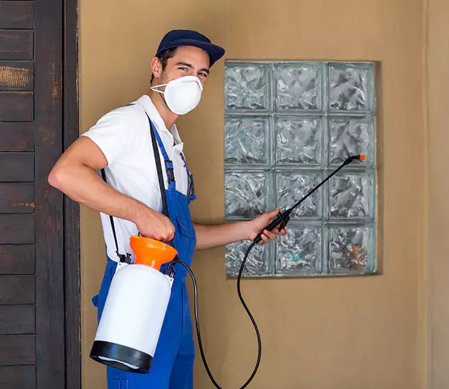Your Reliable Pest Control in Union, NJ