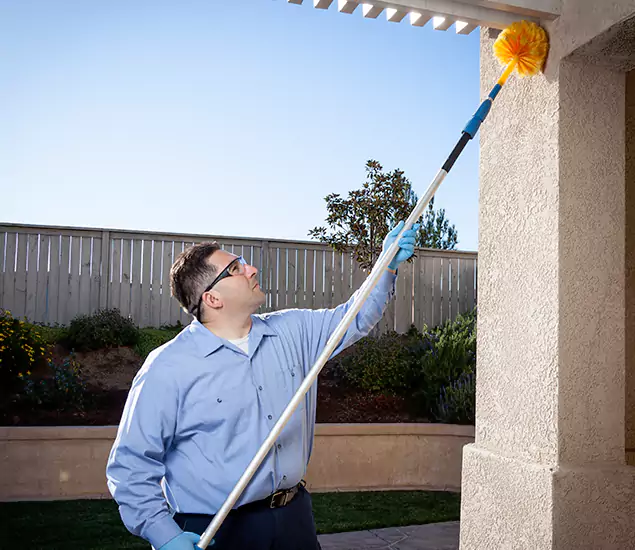 Trusted Experts in Union NJ for Formosan Termite Treatment and Black Termite Control