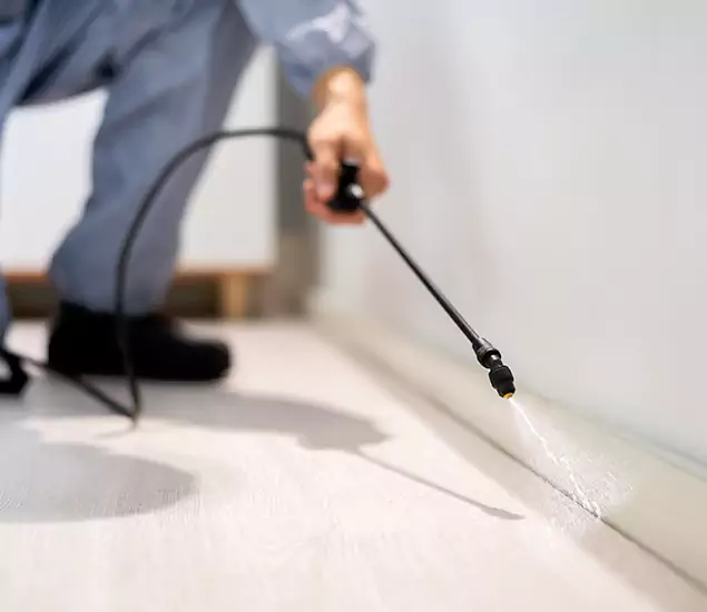 About Our Liquid Termite Treatment Experts in Union, NJ