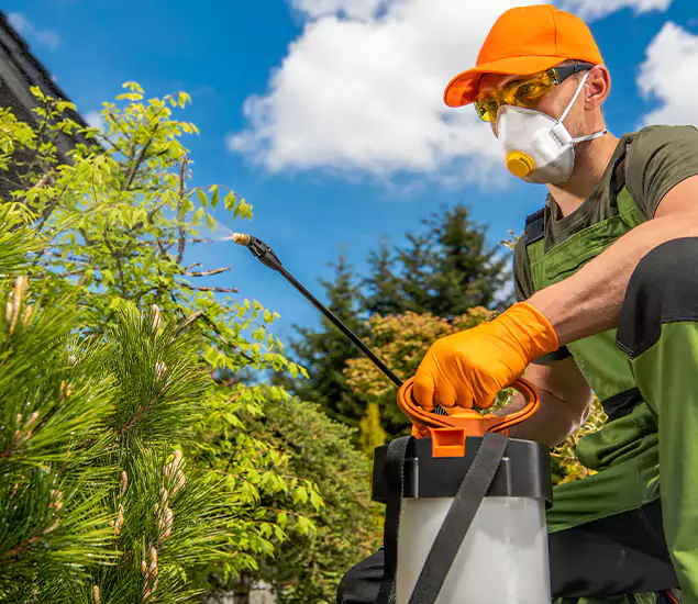 Your Mosquito Repellent Barrier Service in Union, NJ