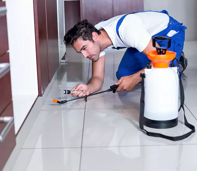 Reliable Professional Mouse Removal: Your Best Mouse Control Company in Union, NJ