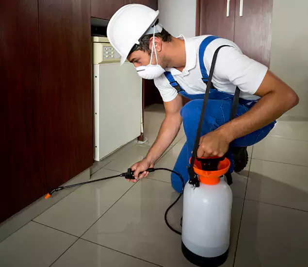 Advanced Termite Pre Treatment Experts in Union, NJ