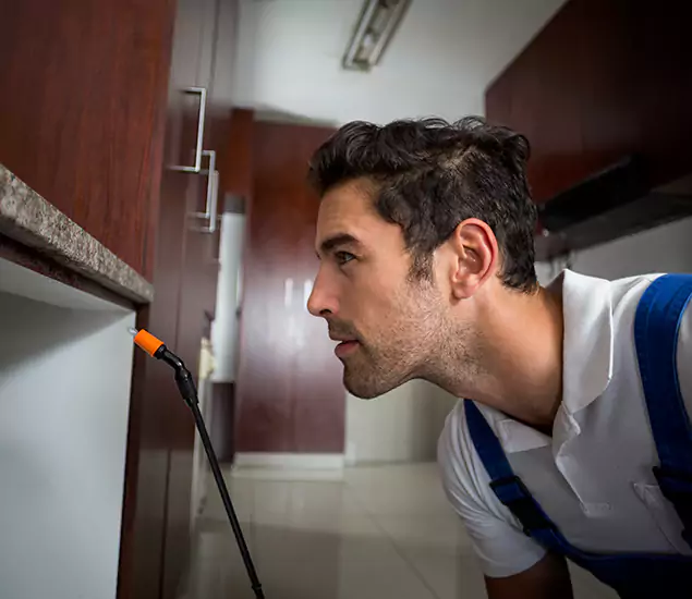 Expert Rodent in Attic Removal: Your Proven Pest Specialists in Union, NJ