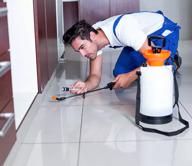 Advanced Slab Termite Treatment Experts You Can Trust&nbsp;in Union, NJ