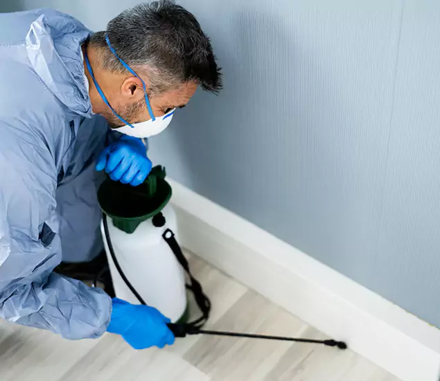 Reliable Termite Cost Experts in Union, NJ