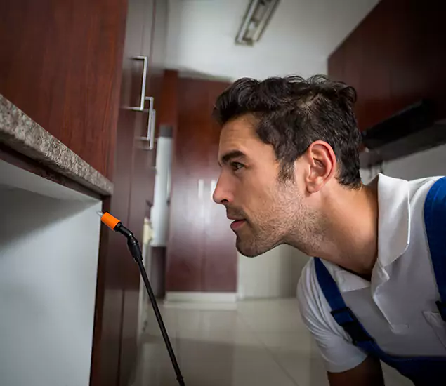 Termite Inspection Cost Experts You Can Trust in Union, NJ