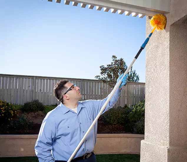 Your Trusted Wasp Removal Company in Union, NJ