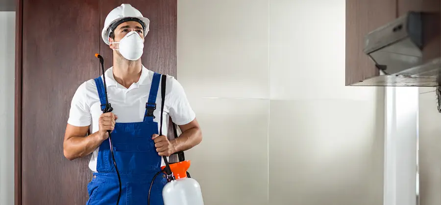 Per Room Bed Bug Cost in Union