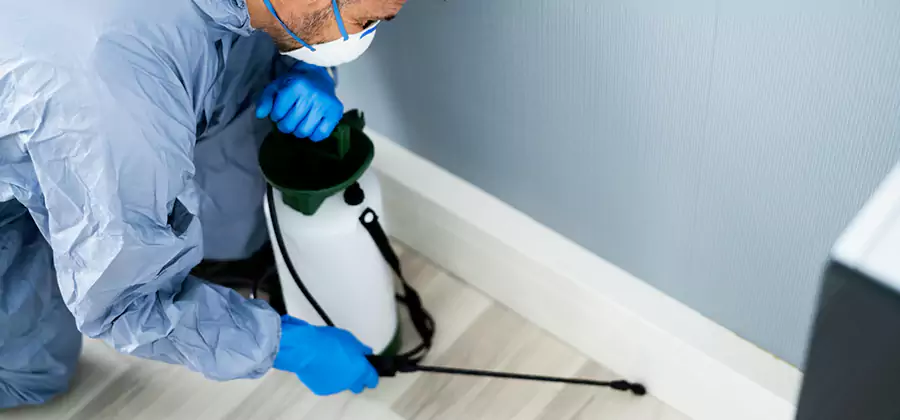 Fumigate Apartment Roaches in Union