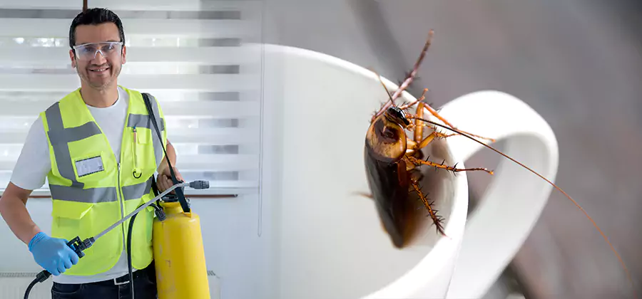 German Roach Infestation Treatment Union