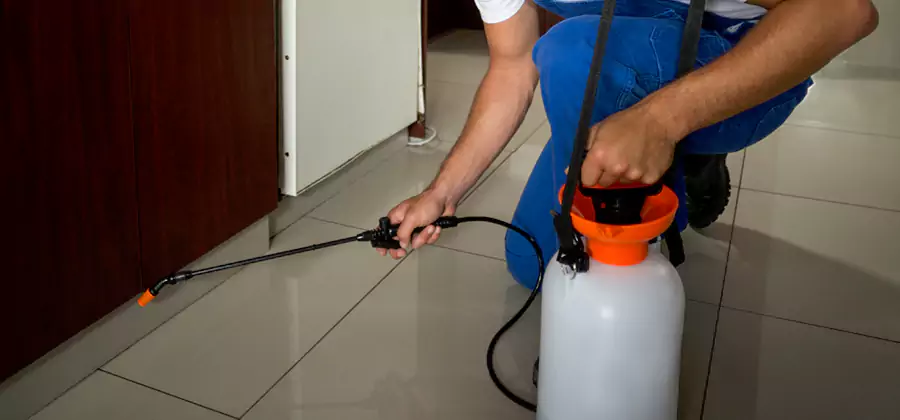 Indoor Mosquito Treatment in Union