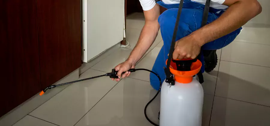 Indoor Insect Killer Solutions in Union