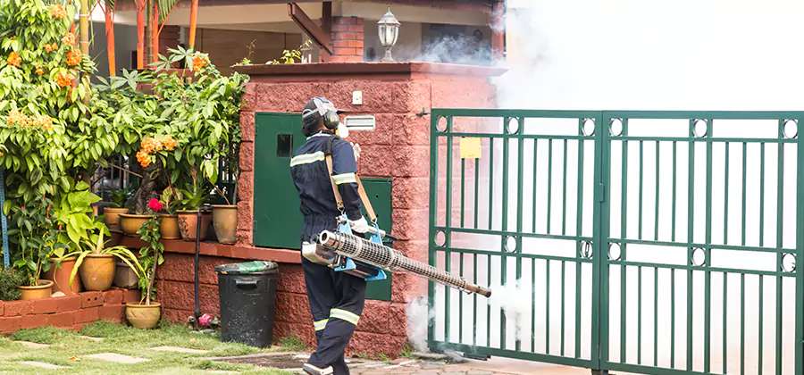Backyard Mosquito Foggers Service in Union