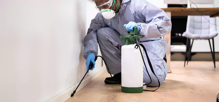 No Tent Termite Extermination With Electric Tool in Union