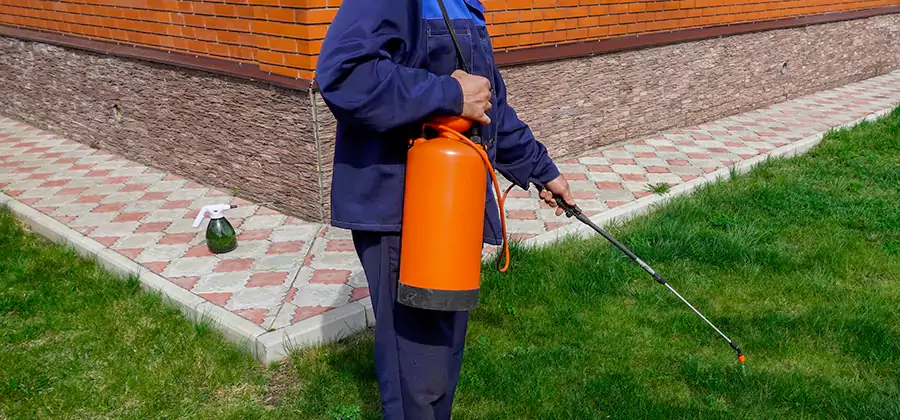 Non Toxic Termite Treatment in Union