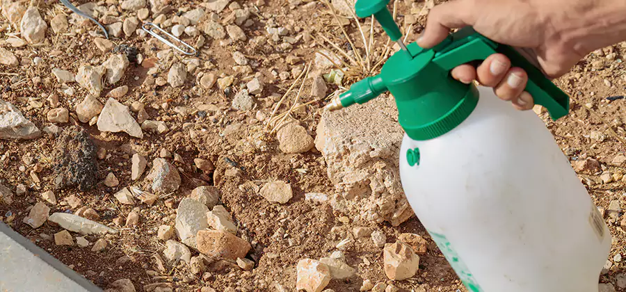 Heat Treatment Termite Cost in Union