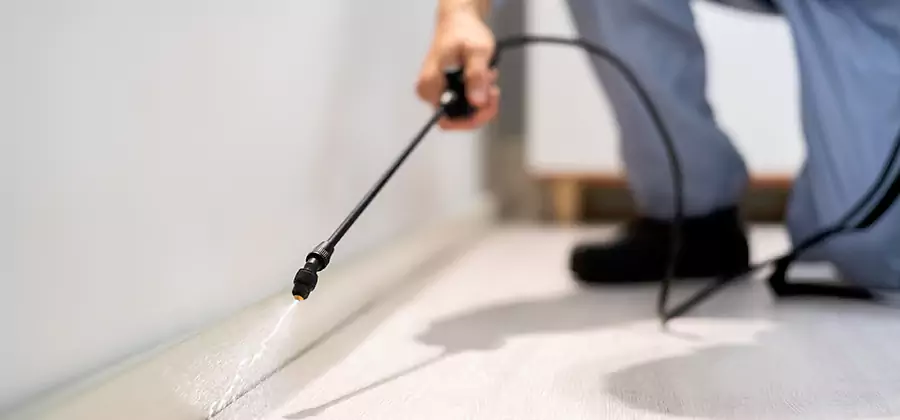 Direct Termite Injection Treatment in Union