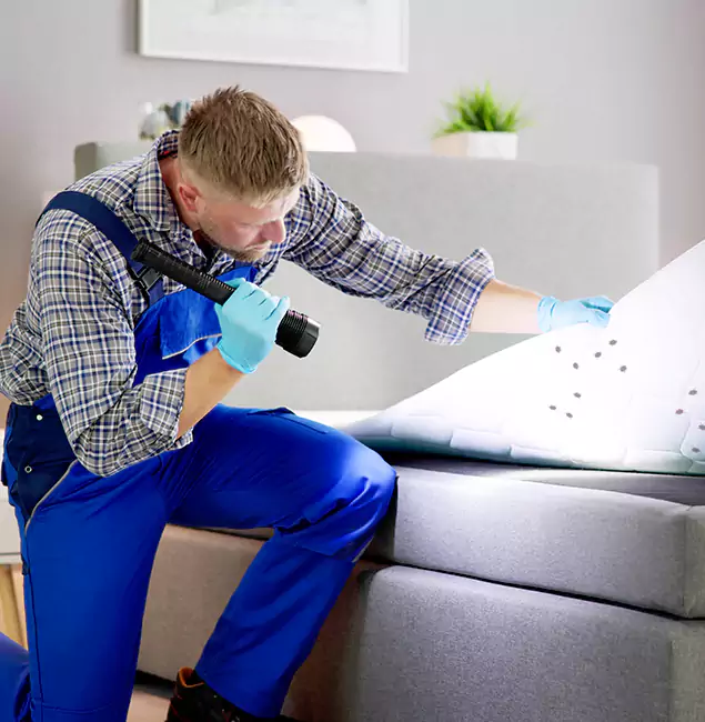 Why Choose Union Pest Control Pro For Bed Bug Heat Treatment in Union, NJ?