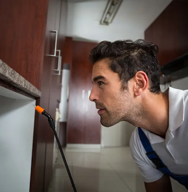 Why Choose Union Pest Control Pro for Bed Bug Removal Cost in Union, NJ?